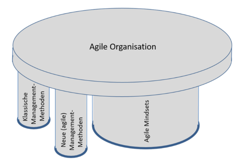 podcast/digital/podcast-episode-2-meine-sicht-auf-den-begriff-agilitaet/agile-organisation.png